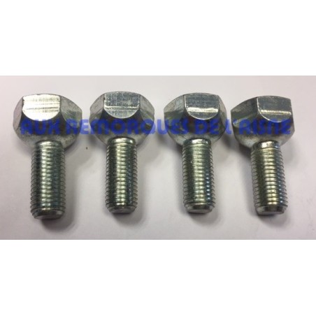 Boulons 10 x 125 plat 19mm